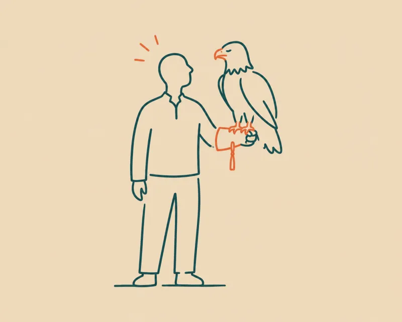 A person holding a bald eagle on their arm